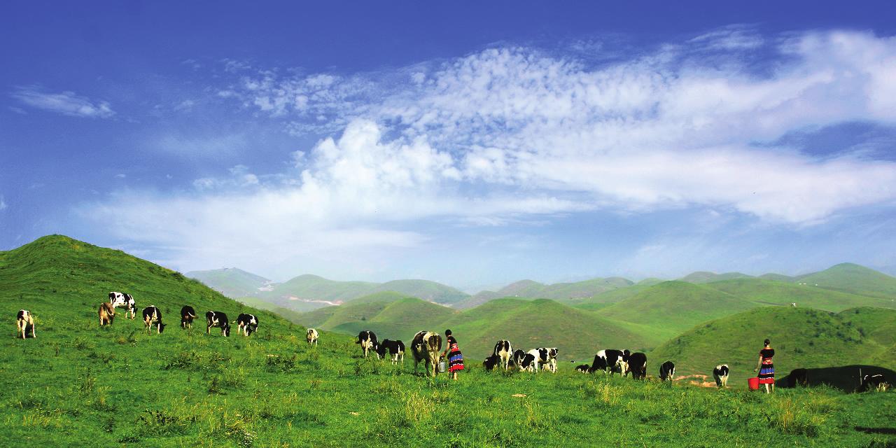 一步之城，万种风情 ——《城步苗族自治县旅游产业发展总体规划及重点景区概念性规划》