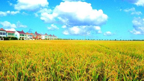 让企业文化释放出“新动能”—— 湖南粮食集团企业文化战略规划