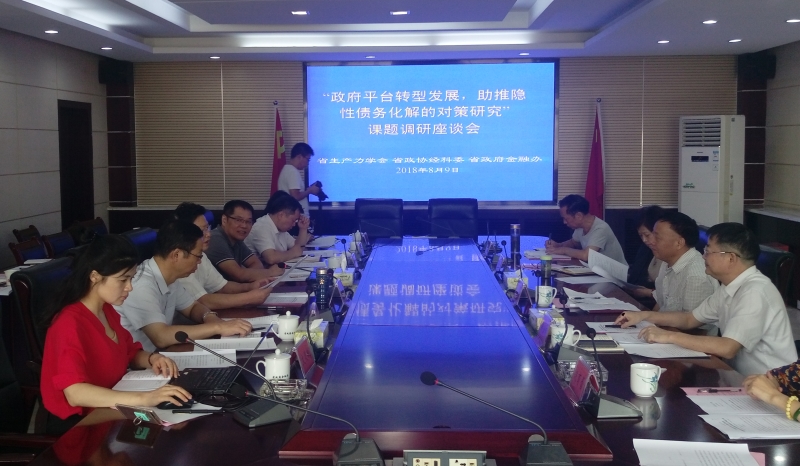 北冰院长参与“政府平台转型发展，助推隐性债务化解的对策研究”课题调研座谈会
