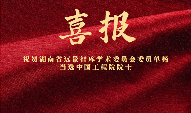 祝贺湖南省远景智库学术委员会委员单杨教授当选中国工程院院士