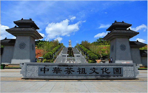 动图.gif
