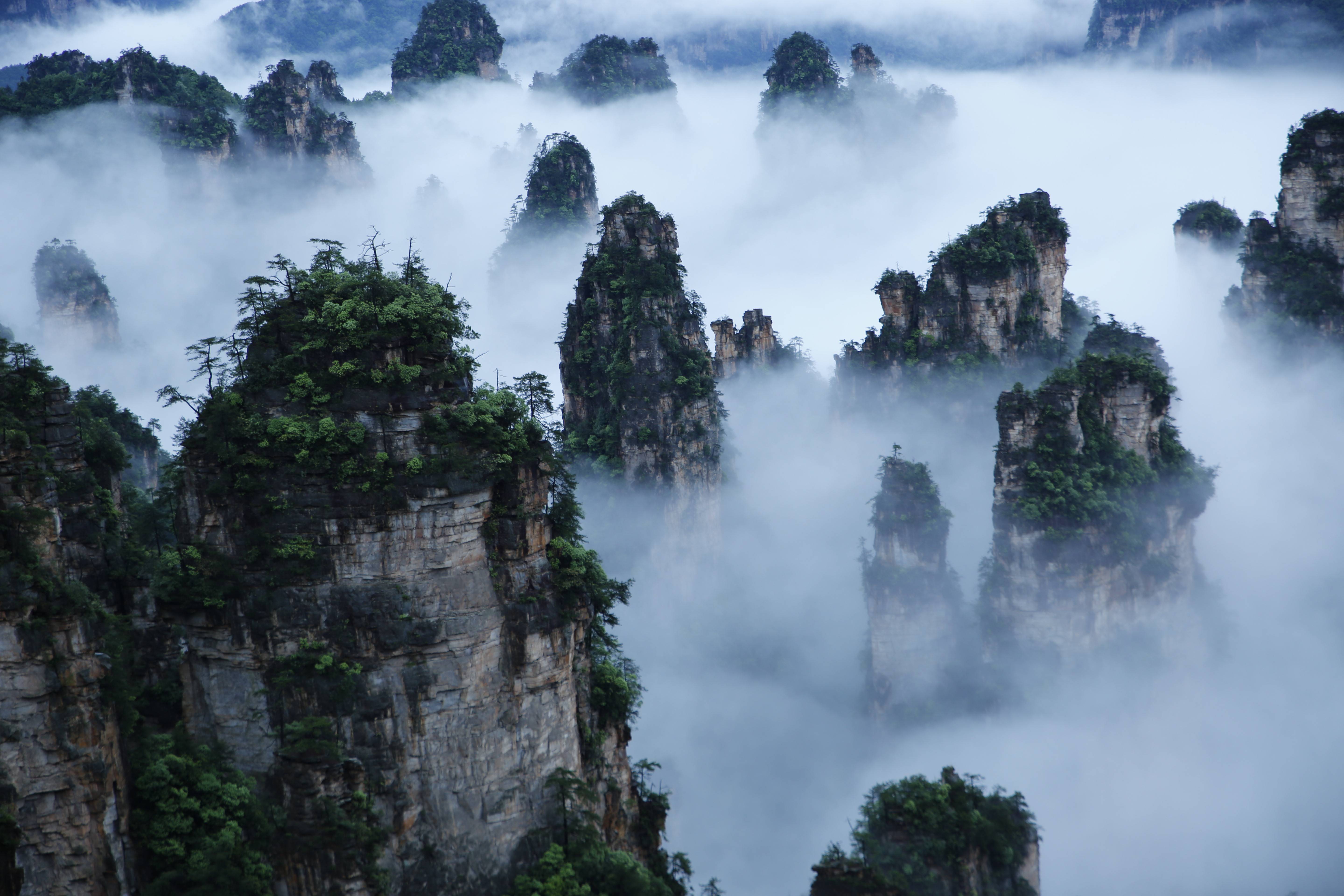武陵源景区天子山云海，图源：湖南日报.jpeg